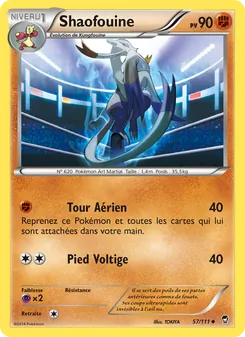 Carte Shaofouine 57/111 – Poings Furieux