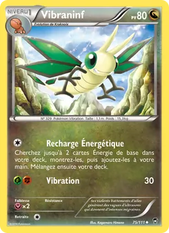 Carte Vibraninf 75/111 – Poings Furieux