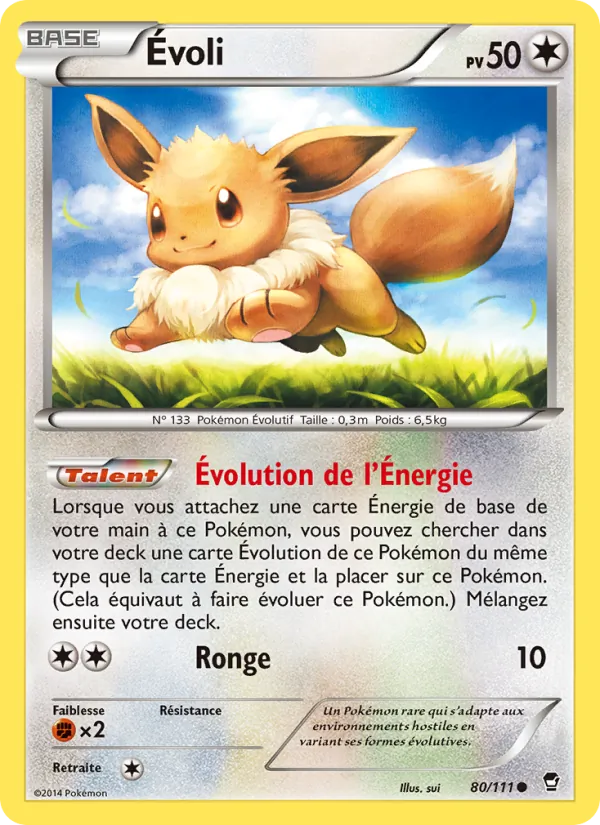 Carte Évoli 80/111 – Poings Furieux