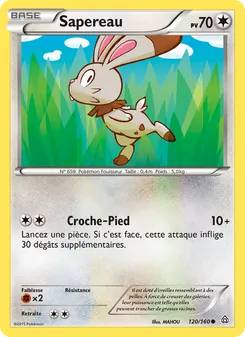 Carte Sapereau 120/160 – Primo-Choc