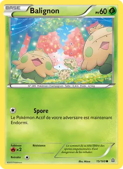 Carte Balignon 15/160 – Primo-Choc