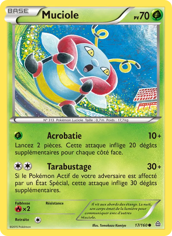 Carte Muciole 17/160 – Primo-Choc