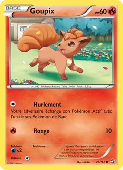Carte Goupix 20/160 – Primo-Choc