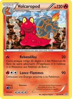 Carte Volcaropod 23/160 – Primo-Choc