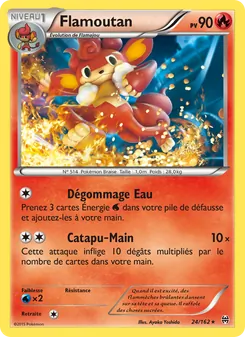 Carte Flamoutan 24/162 – Impulsion TURBO