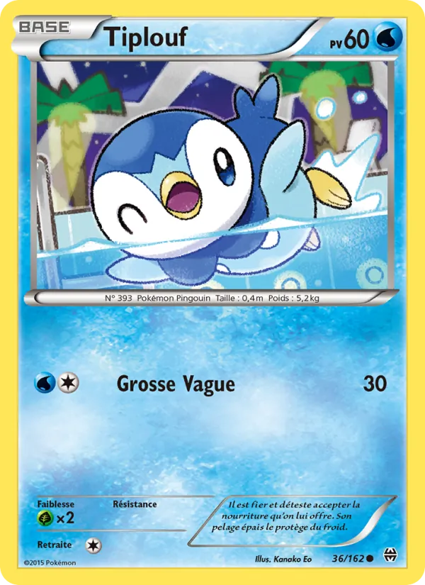 Carte Tiplouf 36/162 – Impulsion TURBO