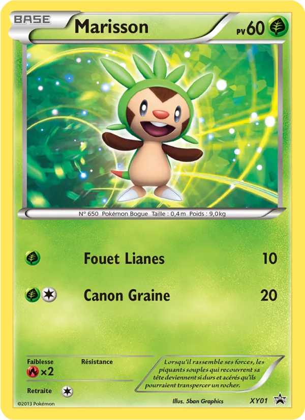Carte Marisson XY01 – Promo XY