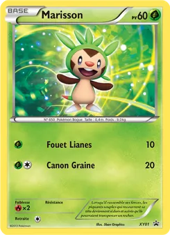 Carte Marisson XY01 – Promo XY