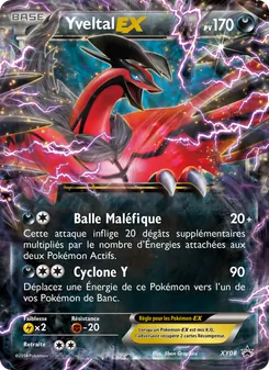 Carte Yveltal EX XY08 – Promo XY
