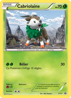 Carte Cabriolaine XY11 – Promo XY