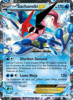 Carte Sachanobi EX XY133 – Promo XY
