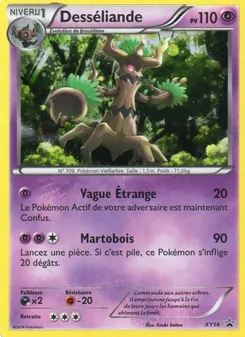 Carte Desséliande XY14 – Promo XY