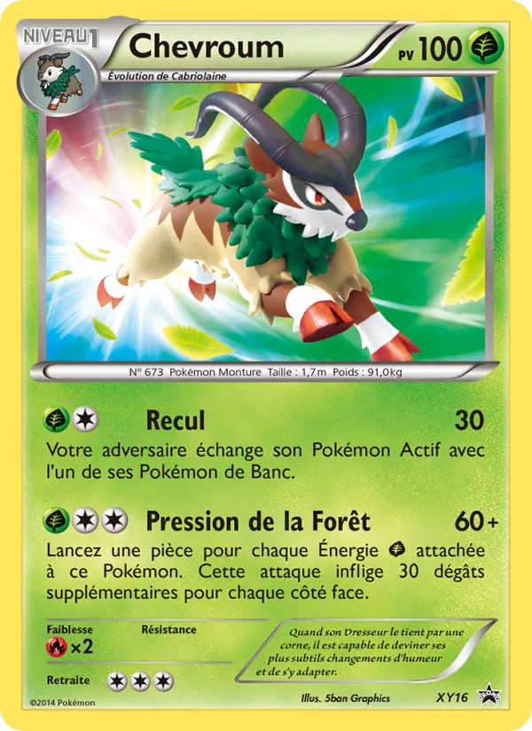 Carte Chevroum XY16 – Promo XY