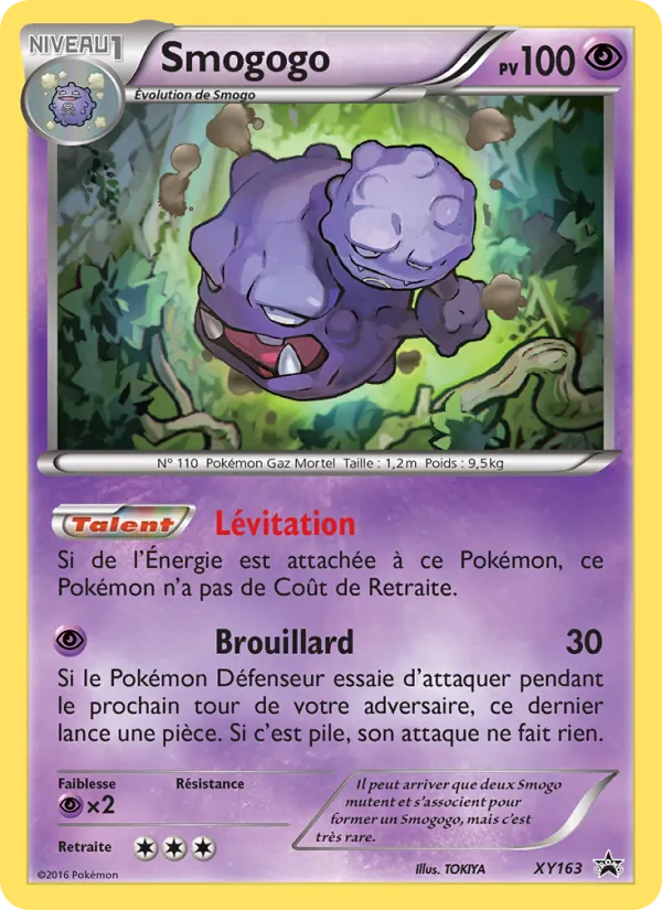 Carte Smogogo XY163 – Promo XY
