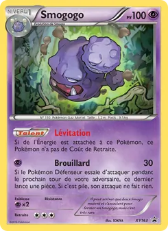 Carte Smogogo XY163 – Promo XY