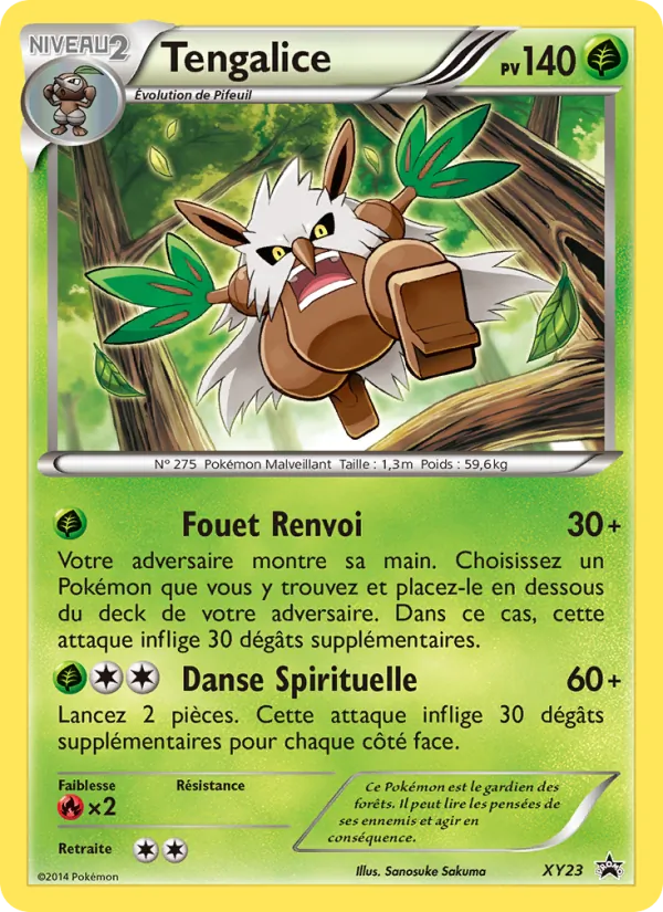Carte Tengalice XY23 – Promo XY