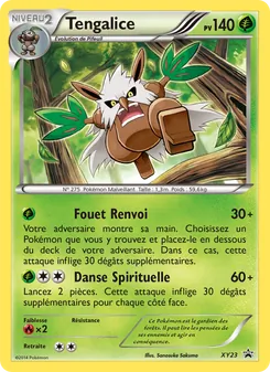 Carte Tengalice XY23 – Promo XY
