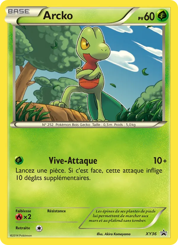 Carte Arcko XY36 – Promo XY