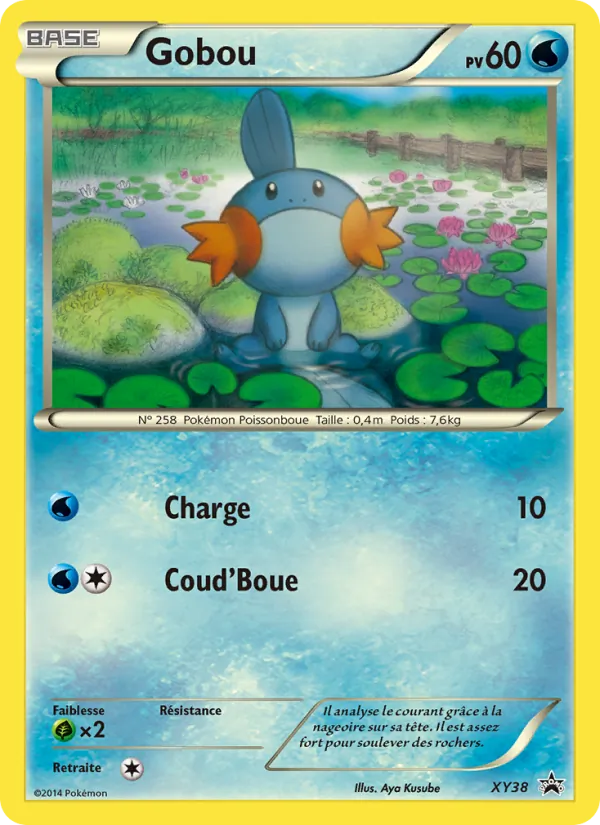 Carte Gobou XY38 – Promo XY