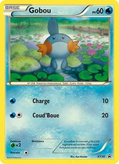 Carte Gobou XY38 – Promo XY