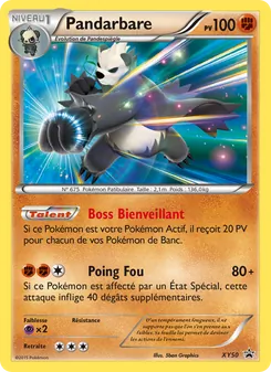 Carte Pandarbare XY50 – Promo XY
