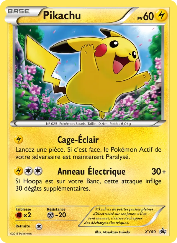 Carte Pikachu XY89 – Promo XY