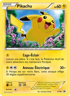 Carte Pikachu XY89 – Promo XY